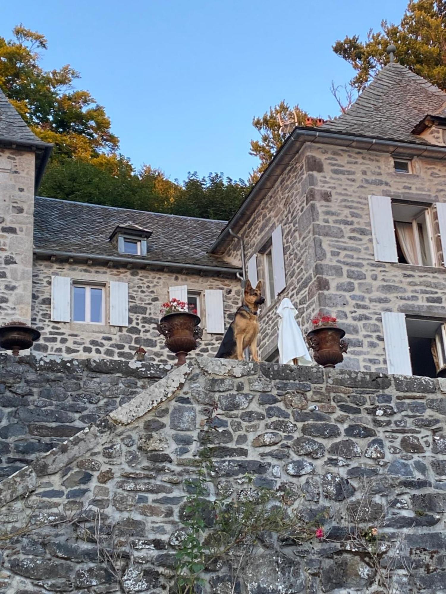 Chateau Du Puech Curieres Εξωτερικό φωτογραφία